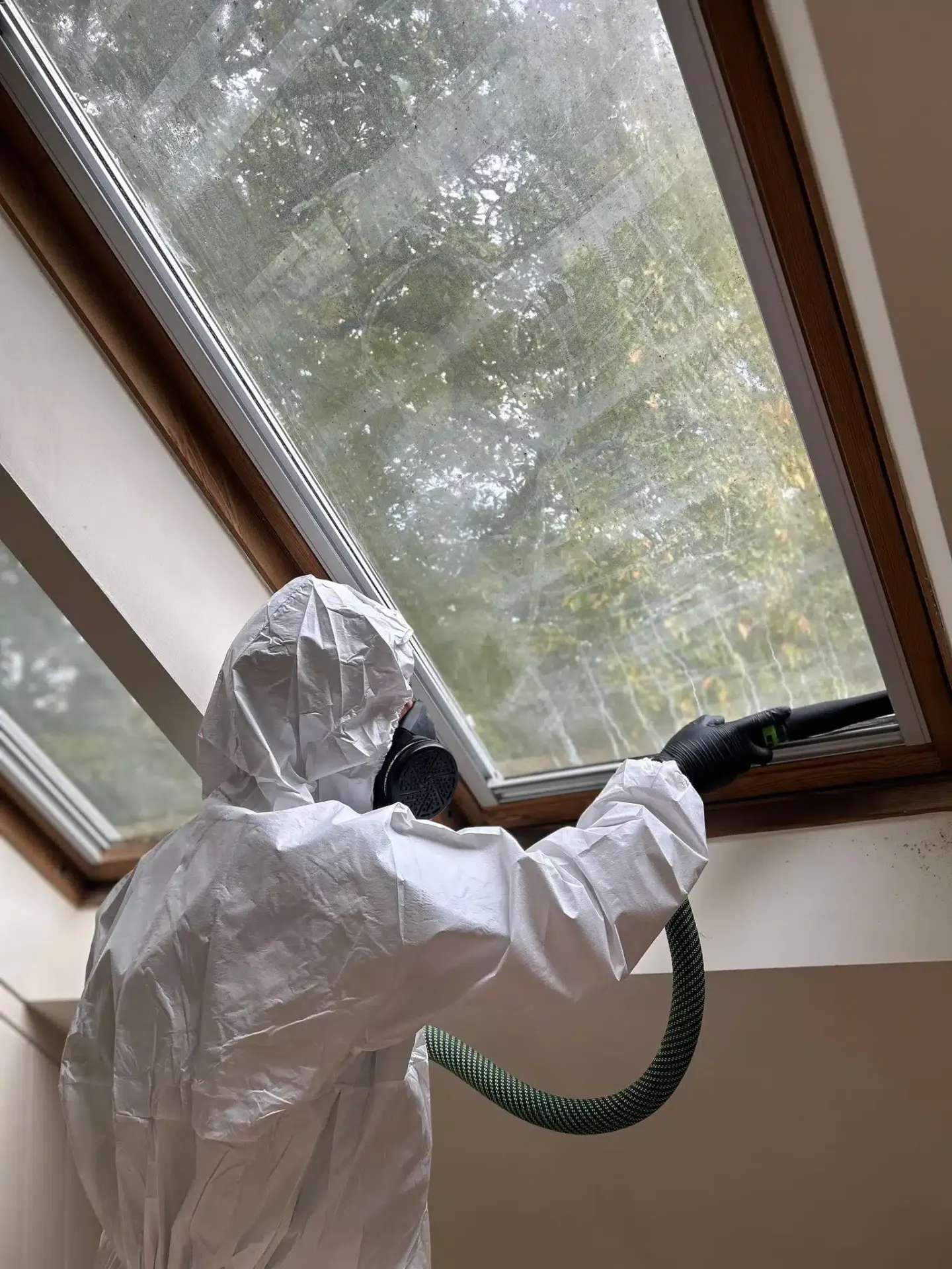 Mould remediation technician in PPE